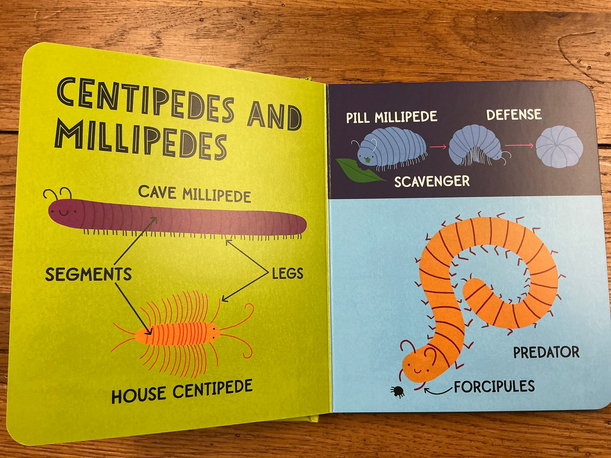 My first 100 Bug Words - A best seller