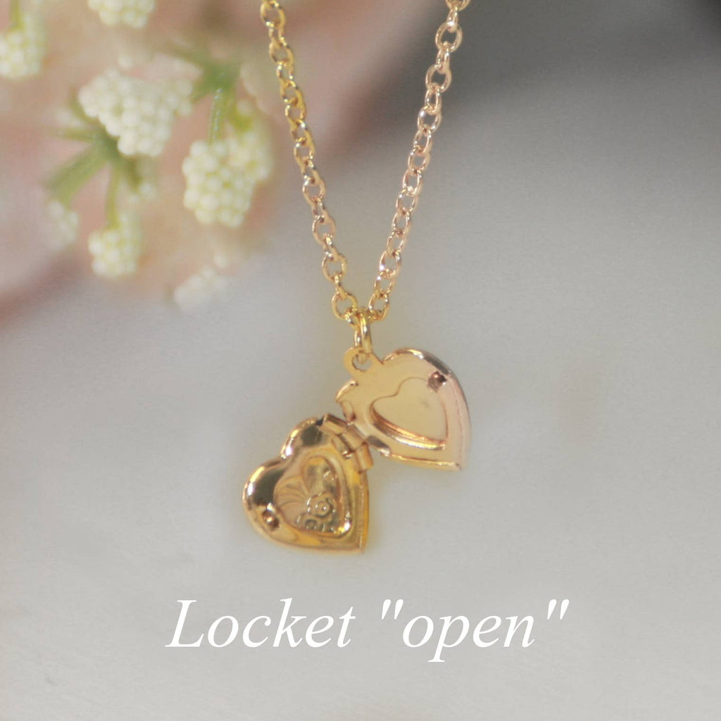 Collectables and Am, Baby's First "Heart" Locket Necklace CJ-301