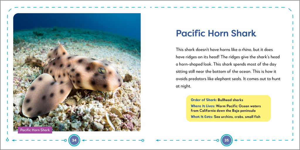 Sourcebooks - My First Book of Sharks