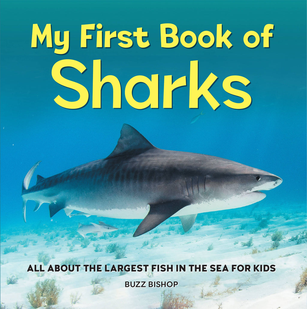 Sourcebooks - My First Book of Sharks