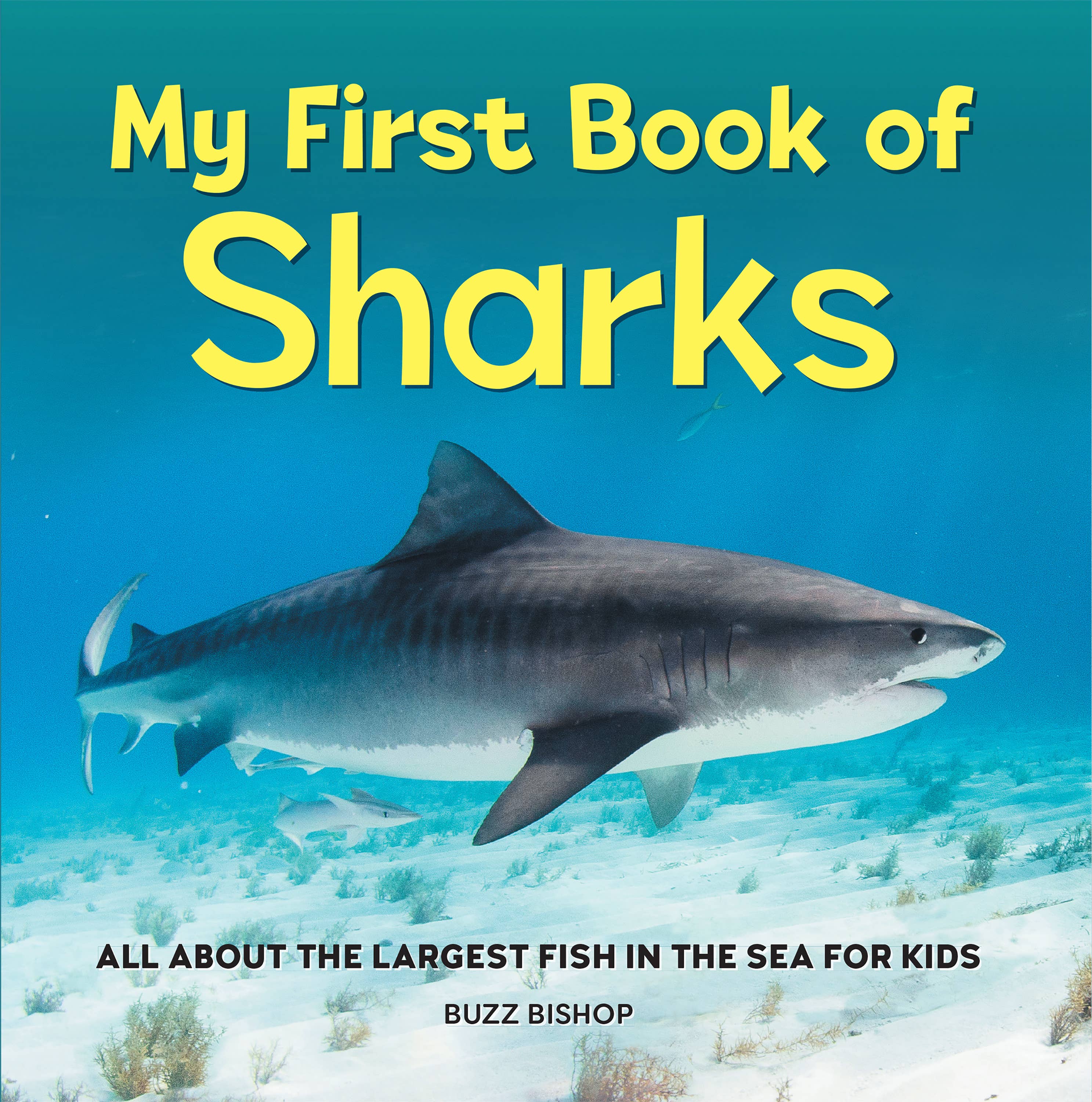 Sourcebooks - My First Book of Sharks