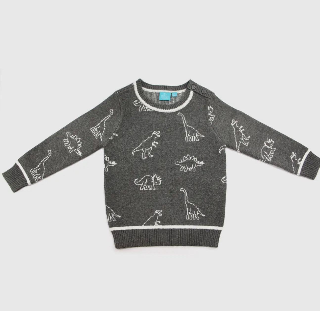 Grey Dino Sweater
