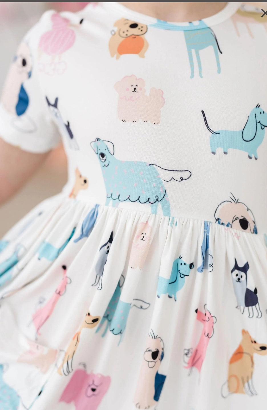 Puppy Pals Twirl Dress