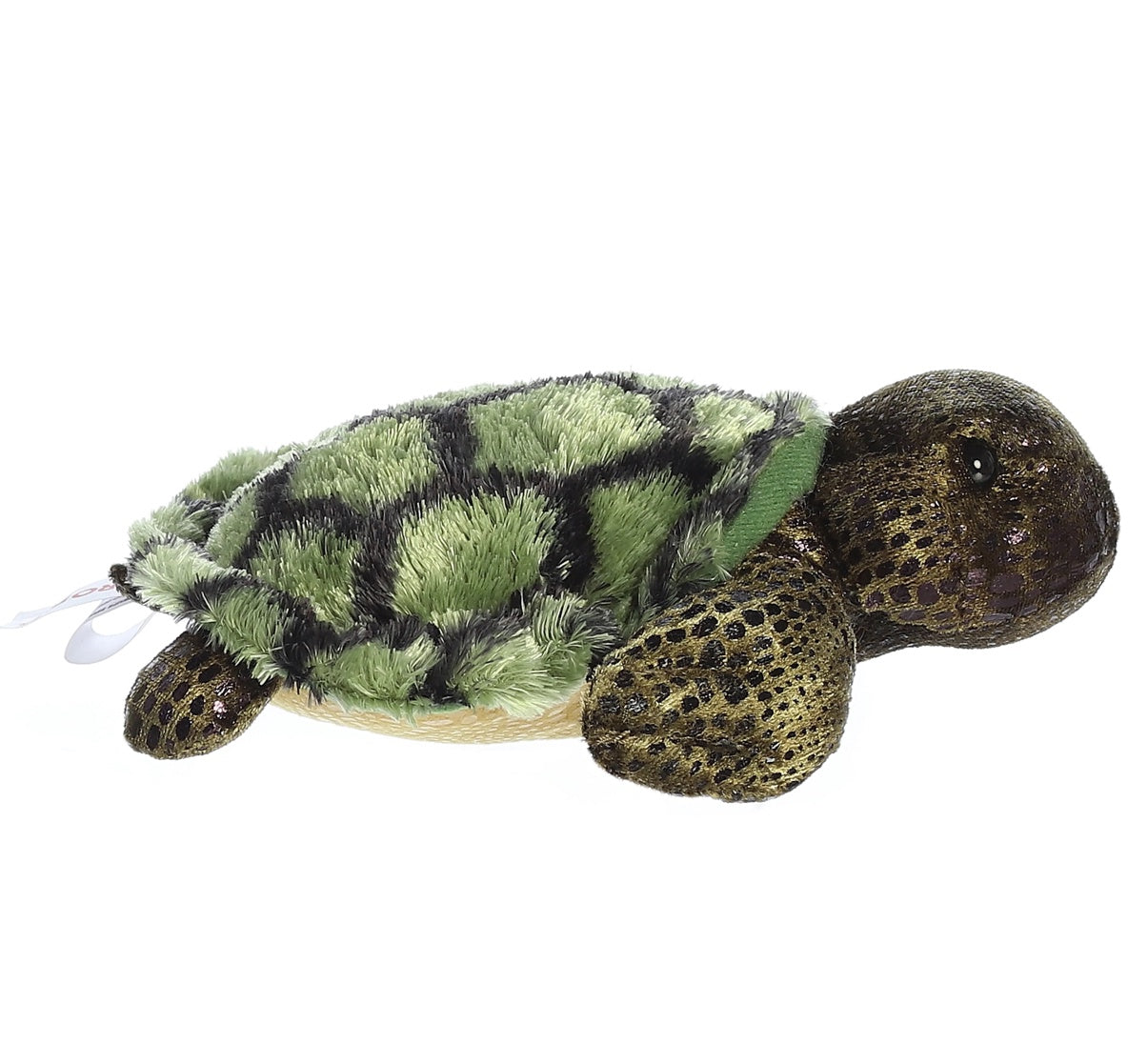 Splash Splash Turtle