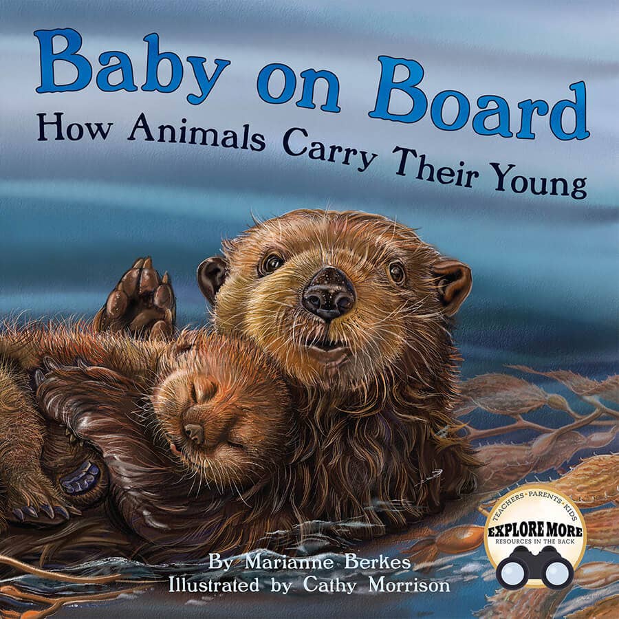 Sourcebooks - Baby on Board