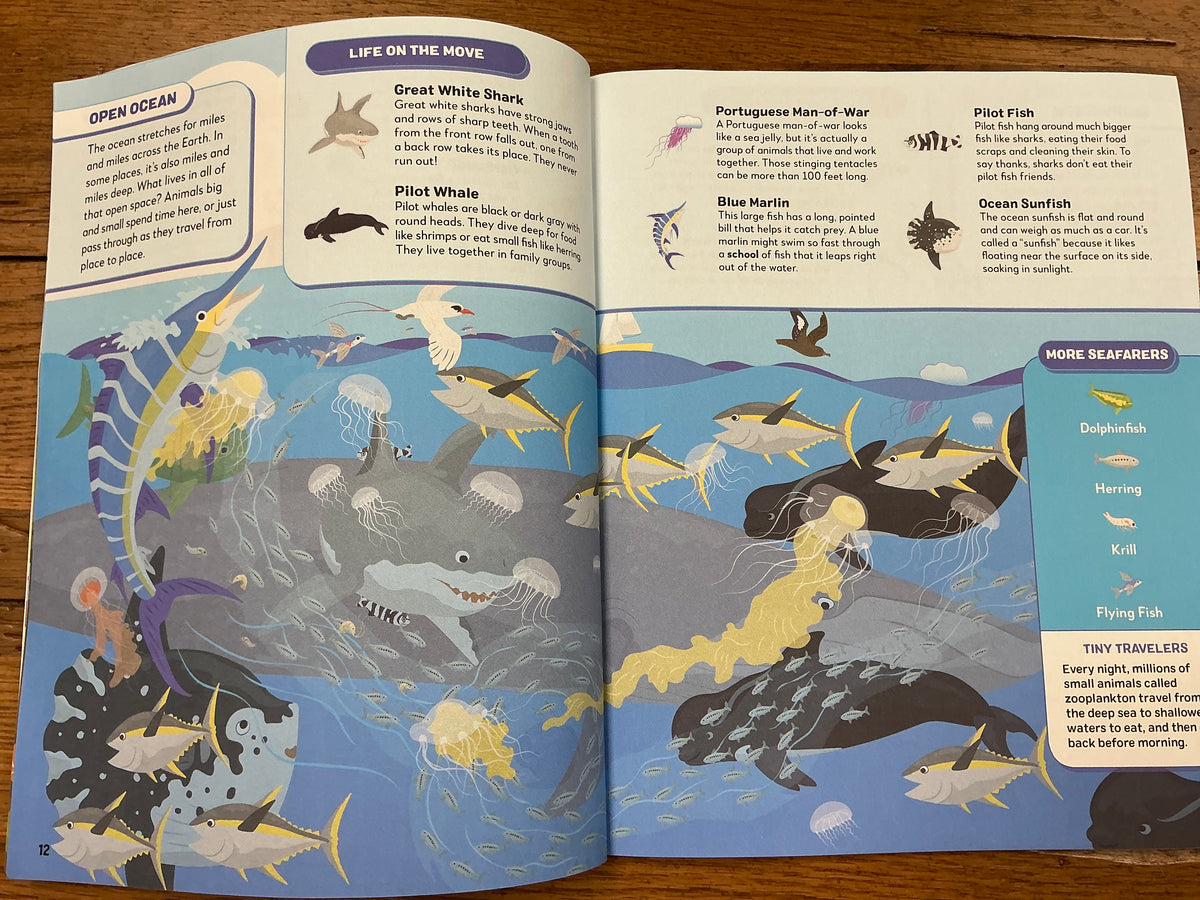 Search the Ocean Find the animals