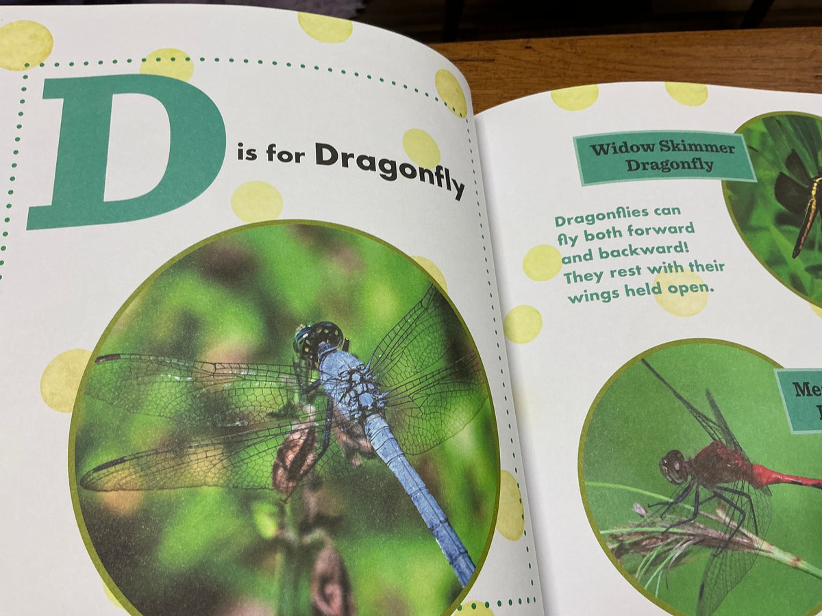 ABC Bug Bug Book for Kids