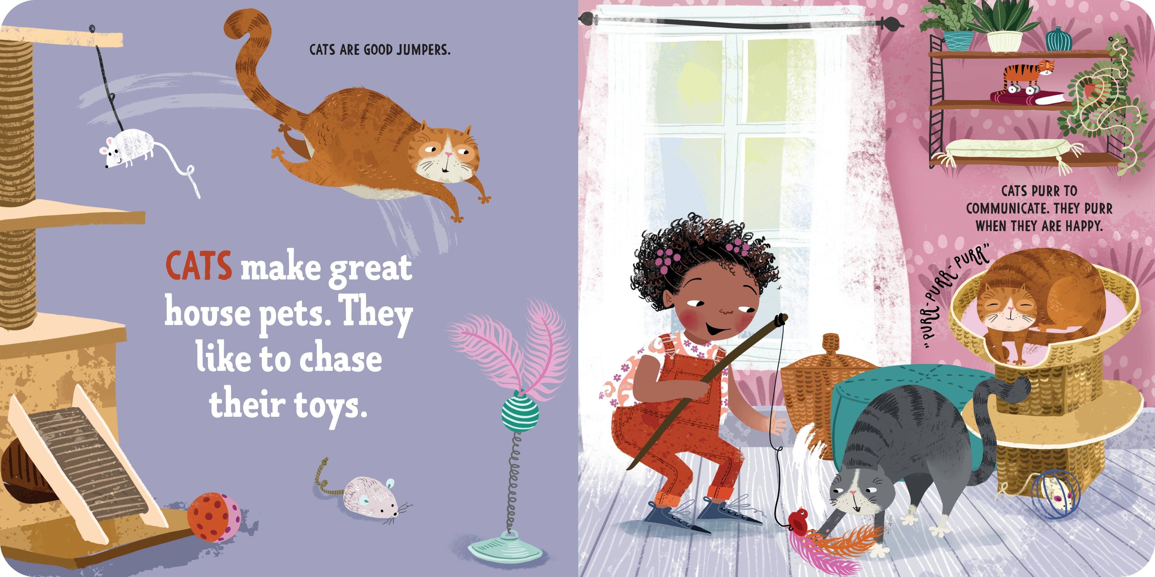 Sourcebooks - My First Book of House Pets (Boardbook)