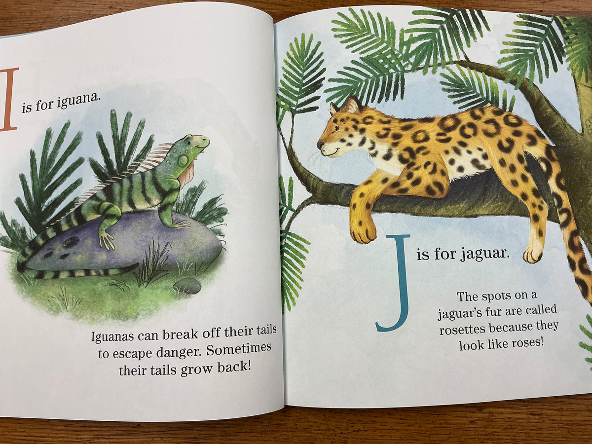 Sourcebooks - T Is for Tiger
