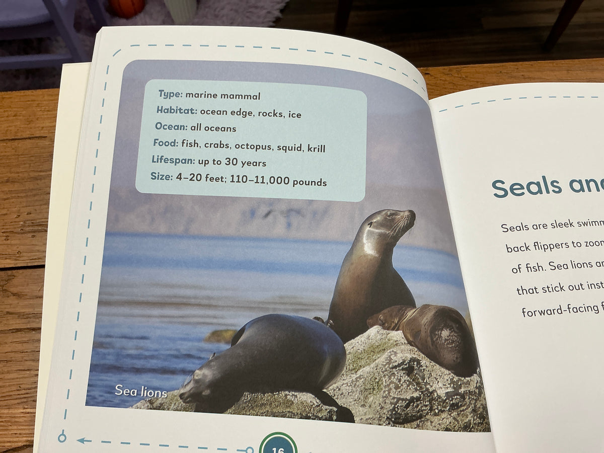My first book of ocean animals