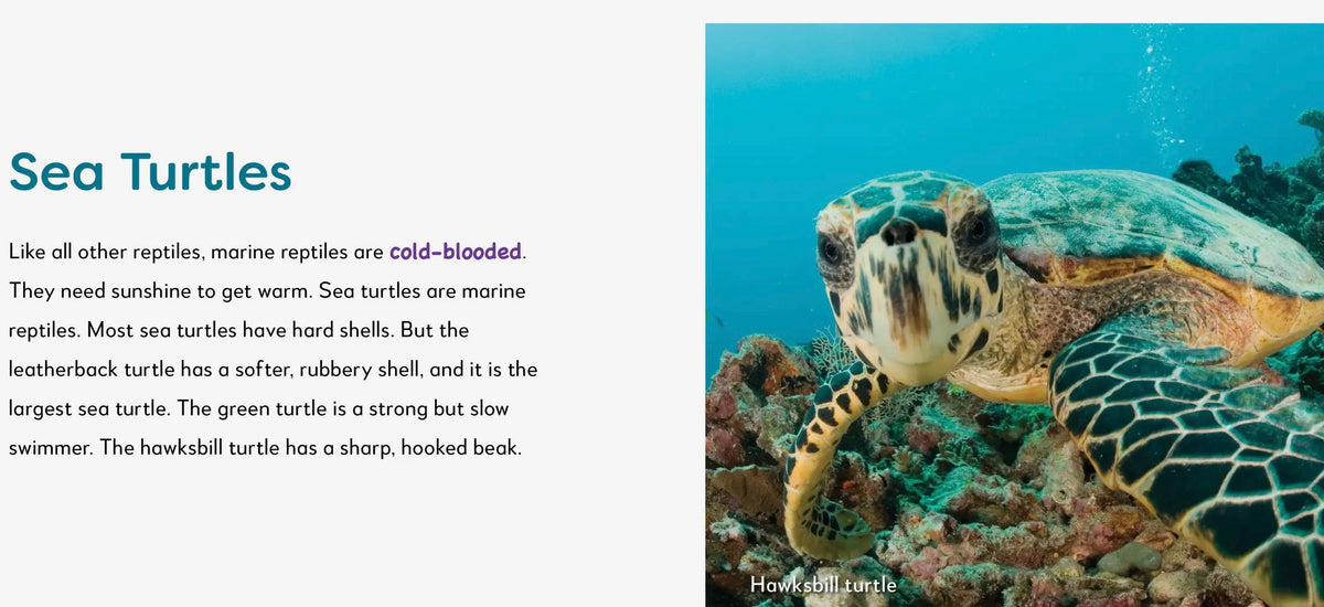 My first book of ocean animals