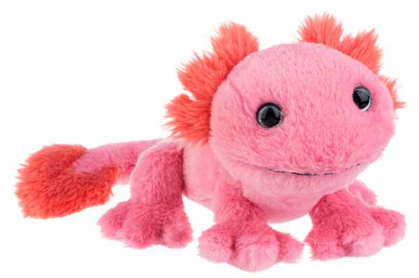Pinkachu Axolotl