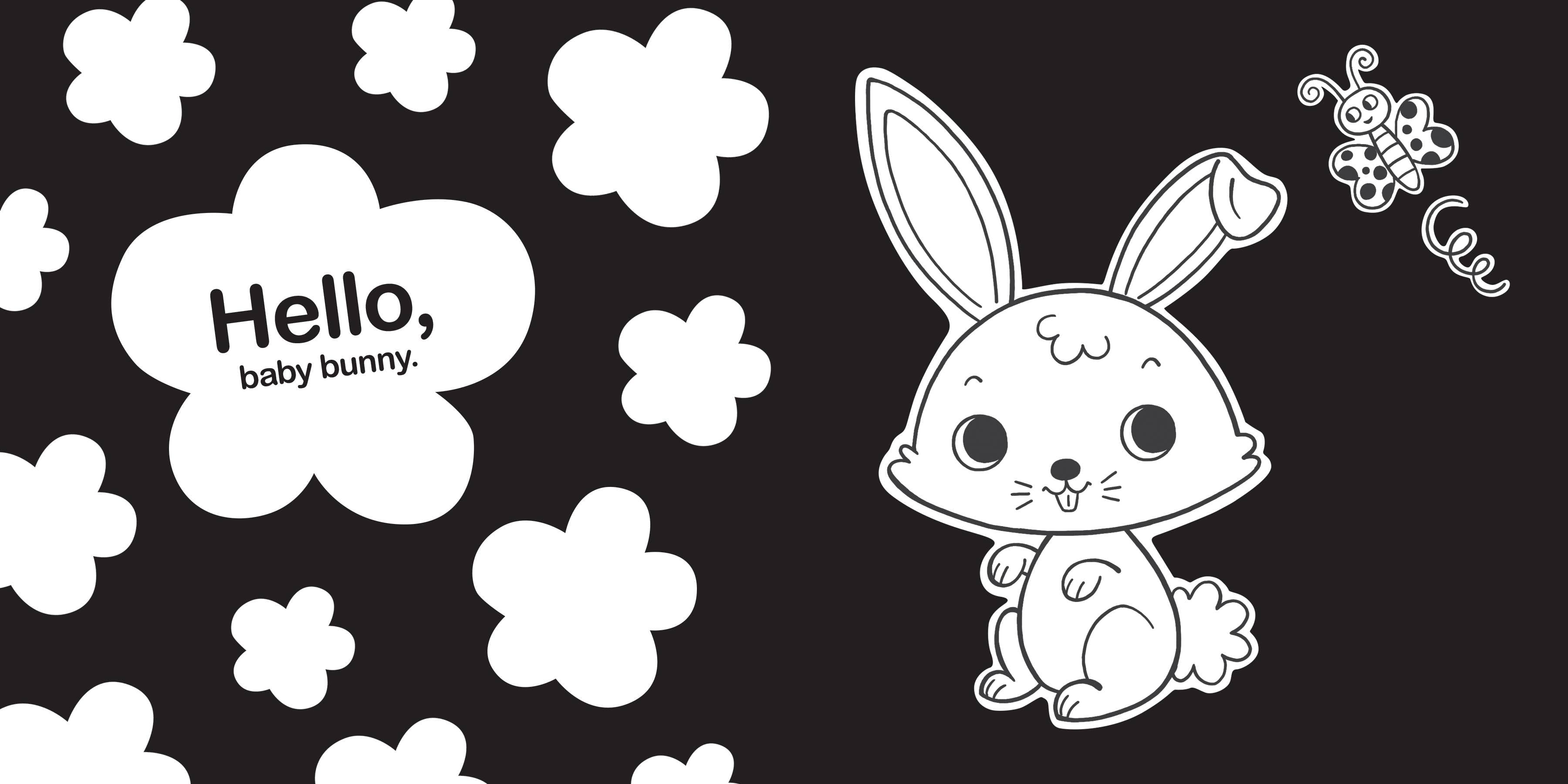 Sourcebooks - Hello, Baby Animals